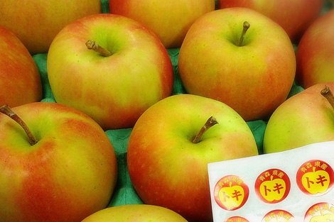 青森県産　黄明（こうめい）りんご