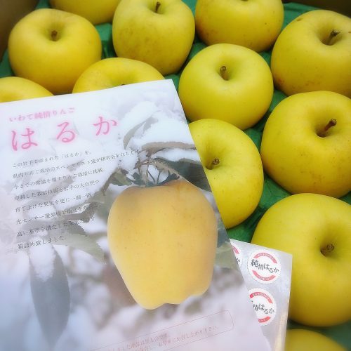 岩手県「はるか」（りんご）