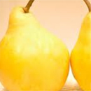 ル・レクチェ(新潟)