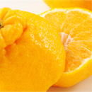 でこぽん(長崎)