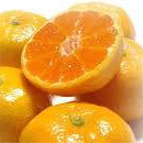 ハウスみかん(佐賀)