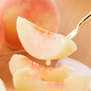 日川白鳳(山梨)