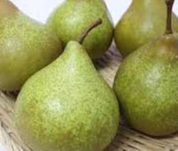 マルゲリットマリラ