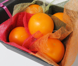 たまたま(金柑)