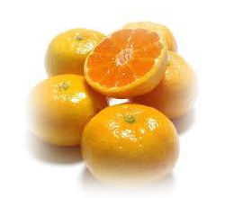 ハウスみかん(佐賀)