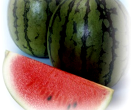 小玉すいか(ひとりじめ)