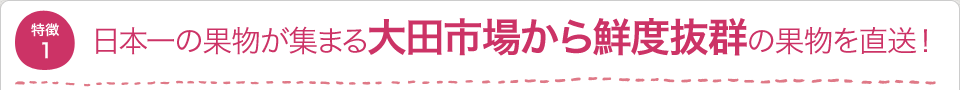 日本一の果物が集まる大田市場から鮮度抜群の果物を直送!