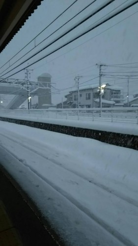 Image_6627605