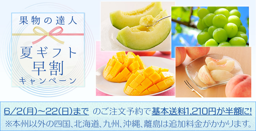 サマーギフト