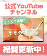 公式youtube