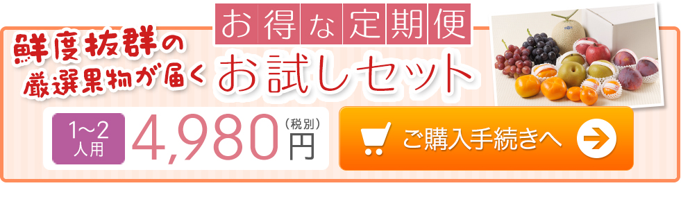 お得な定期便お試しセットを今スグご購入の方はこちら