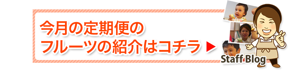 大田市場直送　お得な定期便