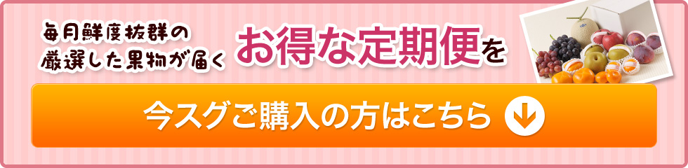 お得な定期便を今スグご購入の方はこちら