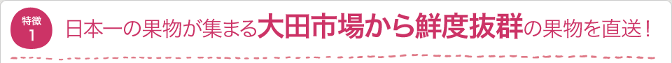日本一の果物が集まる大田市場から鮮度抜群の果物を直送！
