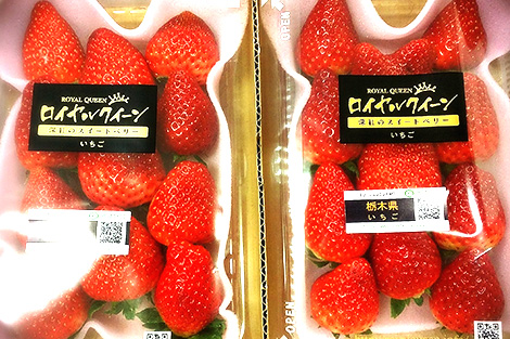 【深紅のいちごの女王】栃木県産　ロイヤルクイーン　２パック　≪9,980円以上で送料無料≫