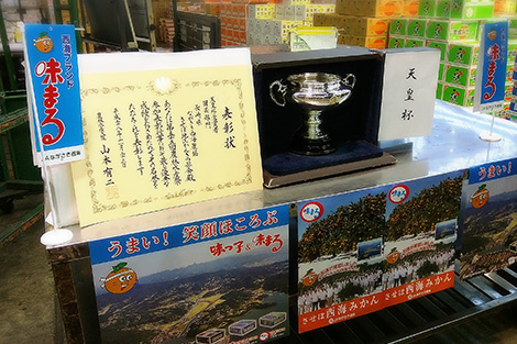 長崎県産 味まるみかん 9 980円以上のご注文で送料無料