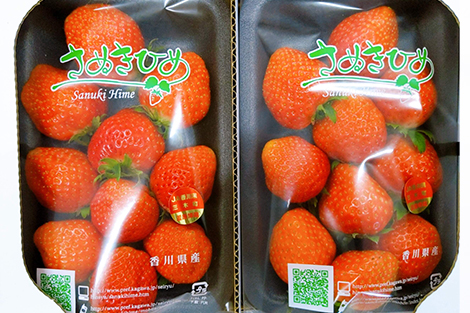 日本全国送料無料商品 | 特集  ≪香川オリジナル品種！≫香川県産 2パック さぬきひめいちご 果物