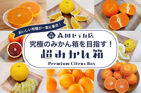 【超みかん箱】≪基本送料無料！≫
